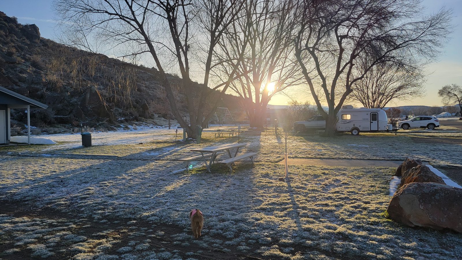 Frosty morning at the park