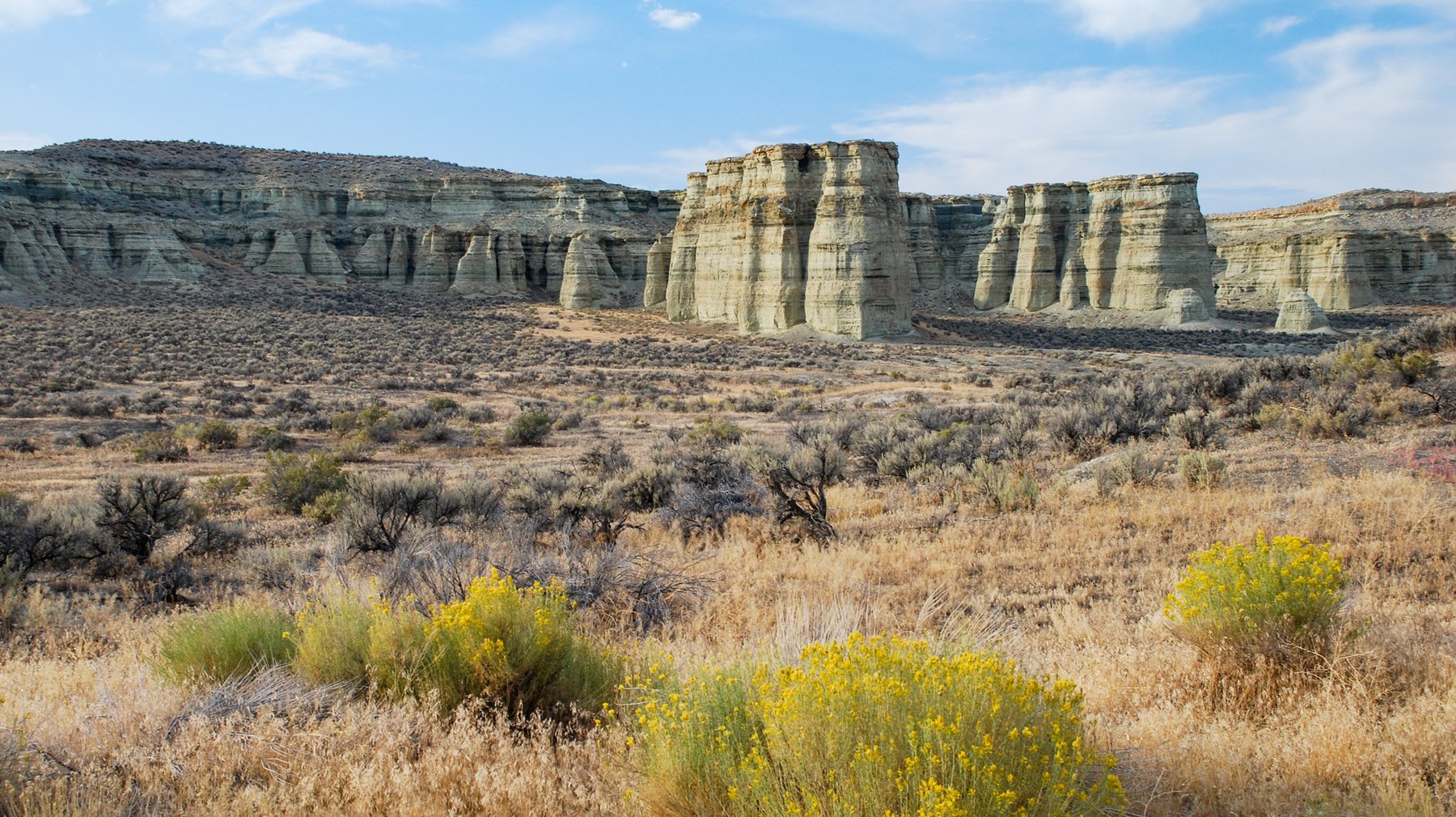 Pale eroded clay columns near Rome, Oregon